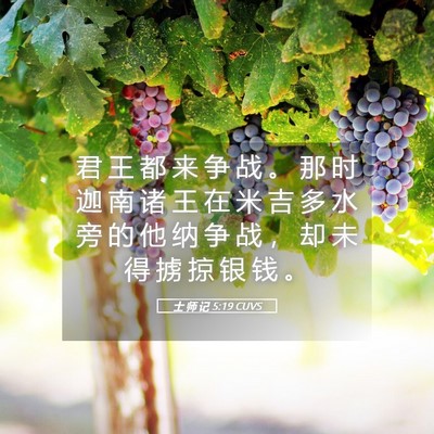Picture 05 - 士 师 记 5:19 CUVS - 君 王 都 来 争 战 。 那 时 迦 南 诸 - Bible Verse Picture