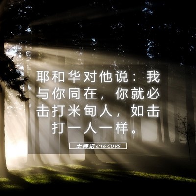 Picture 05 - 士 师 记 6:16 CUVS - 耶 和 华 对 他 说 ： 我 与 你 同 在 - Bible Verse Picture