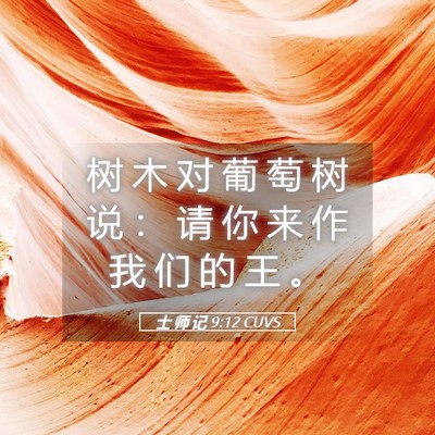 Picture 05 - 士 师 记 9:12 CUVS - 树 木 对 葡 萄 树 说 ： 请 你 来 作 - Bible Verse Picture