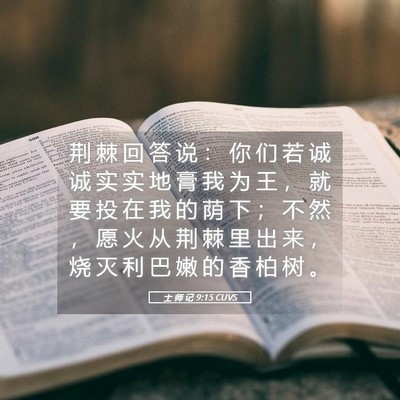 Picture 05 - 士 师 记 9:15 CUVS - 荆 棘 回 答 说 ： 你 们 若 诚 诚 实 - Bible Verse Picture