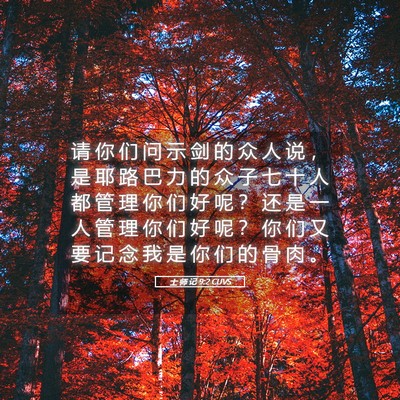 Picture 05 - 士 师 记 9:2 CUVS - 请 你 们 问 示 剑 的 众 人 说 ， 是 - Bible Verse Picture