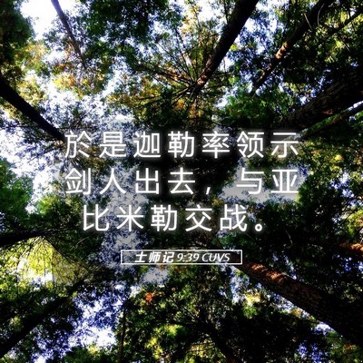 Picture 05 - 士 师 记 9:39 CUVS - 於 是 迦 勒 率 领 示 剑 人 出 去 ， - Bible Verse Picture