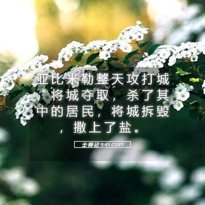 Picture 05 - 士 师 记 9:45 CUVS - 亚 比 米 勒 整 天 攻 打 城 ， 将 城 - Bible Verse Picture