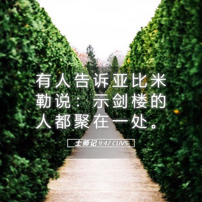 Picture 05 - 士 师 记 9:47 CUVS - 有 人 告 诉 亚 比 米 勒 说 ： 示 剑 - Bible Verse Picture