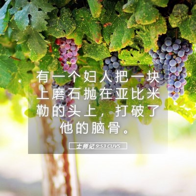 Picture 05 - 士 师 记 9:53 CUVS - 有 一 个 妇 人 把 一 块 上 磨 石 抛 - Bible Verse Picture