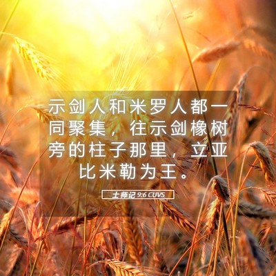 Picture 05 - 士 师 记 9:6 CUVS - 示 剑 人 和 米 罗 人 都 一 同 聚 集 - Bible Verse Picture