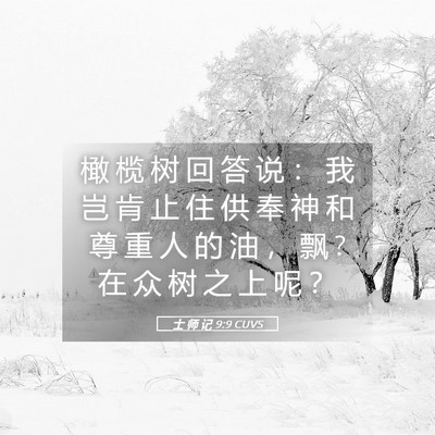 Picture 05 - 士 师 记 9:9 CUVS - 橄 榄 树 回 答 说 ： 我 岂 肯 止 住 - Bible Verse Picture