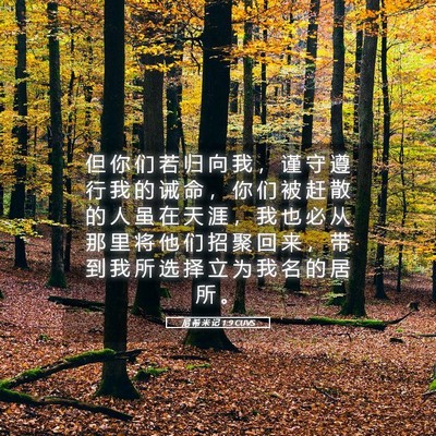 Picture 05 - 尼 希 米 记 1:9 CUVS - 但 你 们 若 归 向 我 ， 谨 守 遵 行 - Bible Verse Picture