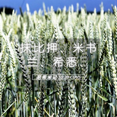 Picture 05 - 尼 希 米 记 10:20 CUVS - 抹 比 押 、 米 书 兰 、 希 悉 - Bible Verse Picture