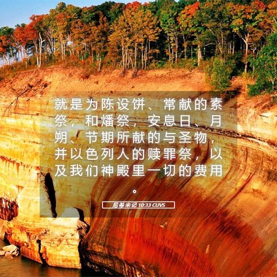 Picture 05 - 尼 希 米 记 10:33 CUVS - 就 是 为 陈 设 饼 、 常 献 的 素 祭 - Bible Verse Picture