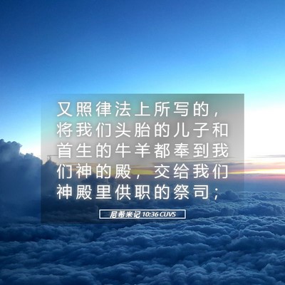 Picture 05 - 尼 希 米 记 10:36 CUVS - 又 照 律 法 上 所 写 的 ， 将 我 们 - Bible Verse Picture