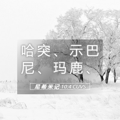 Picture 05 - 尼 希 米 记 10:4 CUVS - 哈 突 、 示 巴 尼 、 玛 鹿 - Bible Verse Picture