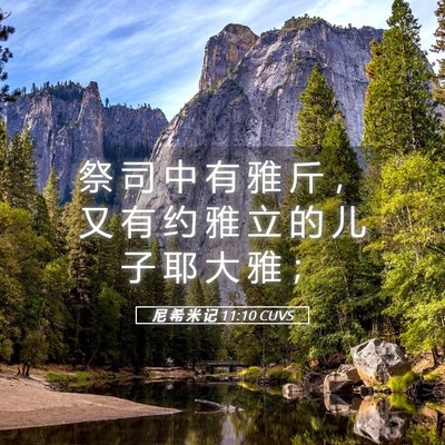 Picture 05 - 尼 希 米 记 11:10 CUVS - 祭 司 中 有 雅 斤 ， 又 有 约 雅 立 - Bible Verse Picture