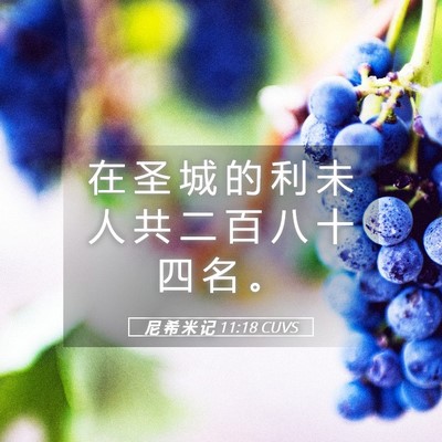 Picture 05 - 尼 希 米 记 11:18 CUVS - 在 圣 城 的 利 未 人 共 二 百 八 十 - Bible Verse Picture