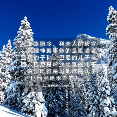 Picture 05 - 尼 希 米 记 11:22 CUVS - 在 耶 路 撒 冷 、 利 未 人 的 长 官 - Bible Verse Picture