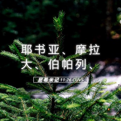 Picture 05 - 尼 希 米 记 11:26 CUVS - 耶 书 亚 、 摩 拉 大 、 伯 帕 列 - Bible Verse Picture