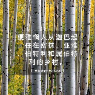 Picture 05 - 尼 希 米 记 11:31 CUVS - 便 雅 悯 人 从 迦 巴 起 ， 住 在 密 - Bible Verse Picture