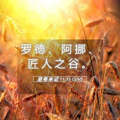 Picture 05 - 尼 希 米 记 11:35 CUVS - 罗 德 、 阿 挪 、 匠 人 之 谷 - Bible Verse Picture