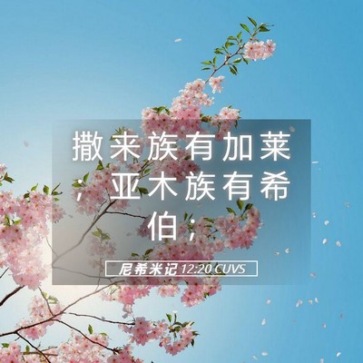 Picture 05 - 尼 希 米 记 12:20 CUVS - 撒 来 族 有 加 莱 ； 亚 木 族 有 希 - Bible Verse Picture