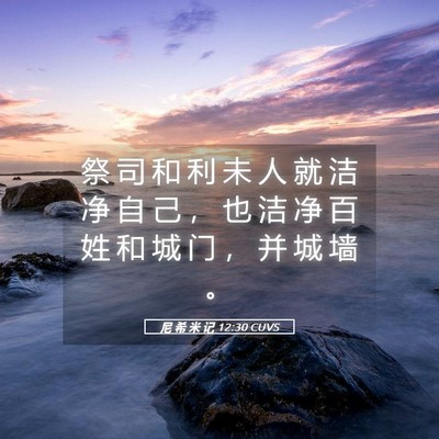 Picture 05 - 尼 希 米 记 12:30 CUVS - 祭 司 和 利 未 人 就 洁 净 自 己 ， - Bible Verse Picture