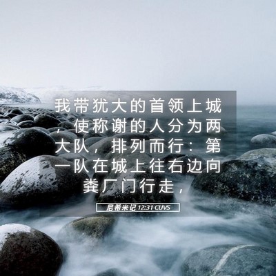 Picture 05 - 尼 希 米 记 12:31 CUVS - 我 带 犹 大 的 首 领 上 城 ， 使 称 - Bible Verse Picture