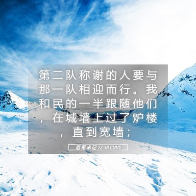 Picture 05 - 尼 希 米 记 12:38 CUVS - 第 二 队 称 谢 的 人 要 与 那 一 队 - Bible Verse Picture