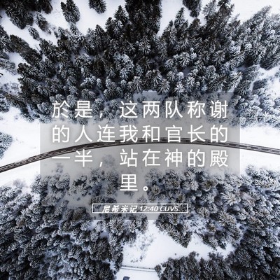 Picture 05 - 尼 希 米 记 12:40 CUVS - 於 是 ， 这 两 队 称 谢 的 人 连 我 - Bible Verse Picture