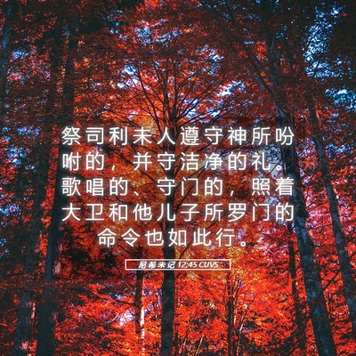 Picture 05 - 尼 希 米 记 12:45 CUVS - 祭 司 利 未 人 遵 守 神 所 吩 咐 的 - Bible Verse Picture
