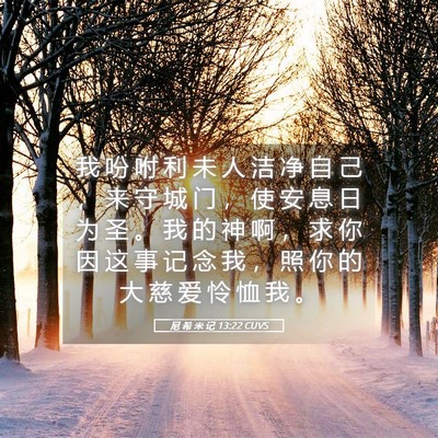 Picture 05 - 尼 希 米 记 13:22 CUVS - 我 吩 咐 利 未 人 洁 净 自 己 ， 来 - Bible Verse Picture