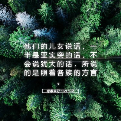 Picture 05 - 尼 希 米 记 13:24 CUVS - 他 们 的 儿 女 说 话 ， 一 半 是 亚 - Bible Verse Picture