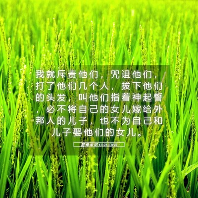 Picture 05 - 尼 希 米 记 13:25 CUVS - 我 就 斥 责 他 们 ， 咒 诅 他 们 ， - Bible Verse Picture