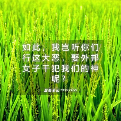 Picture 05 - 尼 希 米 记 13:27 CUVS - 如 此 ， 我 岂 听 你 们 行 这 大 恶 - Bible Verse Picture