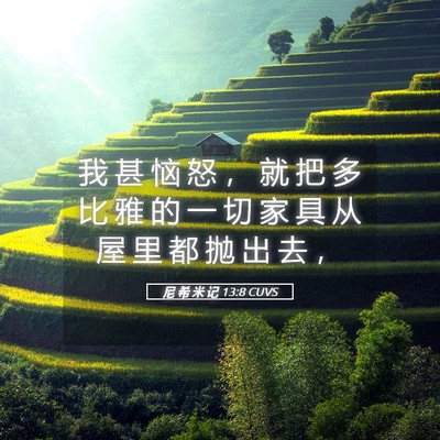 Picture 05 - 尼 希 米 记 13:8 CUVS - 我 甚 恼 怒 ， 就 把 多 比 雅 的 一 - Bible Verse Picture