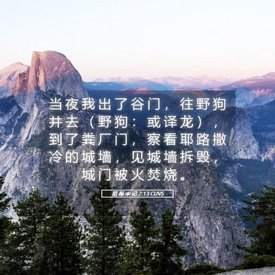 Picture 05 - 尼 希 米 记 2:13 CUVS - 当 夜 我 出 了 谷 门 ， 往 野 狗 井 - Bible Verse Picture