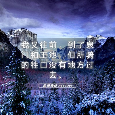 Picture 05 - 尼 希 米 记 2:14 CUVS - 我 又 往 前 ， 到 了 泉 门 和 王 池 - Bible Verse Picture