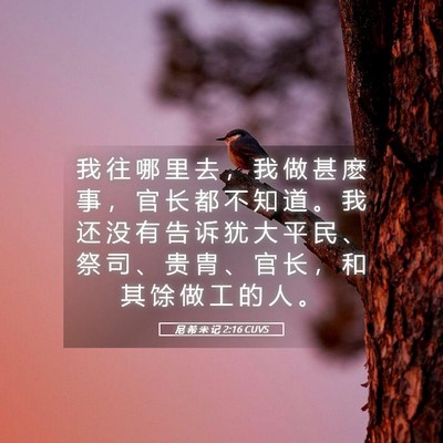 Picture 05 - 尼 希 米 记 2:16 CUVS - 我 往 哪 里 去 ， 我 做 甚 麽 事 ， - Bible Verse Picture