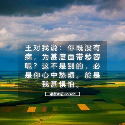 Picture 05 - 尼 希 米 记 2:2 CUVS - 王 对 我 说 ： 你 既 没 有 病 ， 为 - Bible Verse Picture