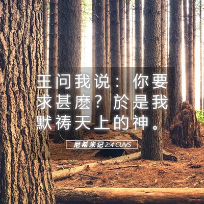 Picture 05 - 尼 希 米 记 2:4 CUVS - 王 问 我 说 ： 你 要 求 甚 麽 ？ 於 - Bible Verse Picture