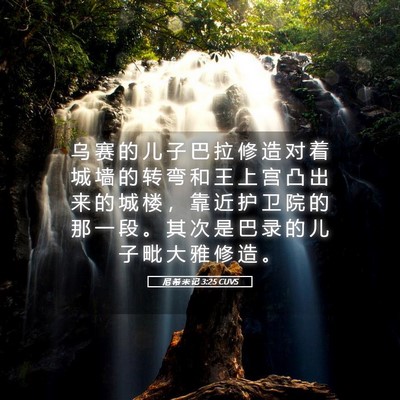 Picture 05 - 尼 希 米 记 3:25 CUVS - 乌 赛 的 儿 子 巴 拉 修 造 对 着 城 - Bible Verse Picture