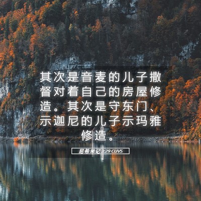 Picture 05 - 尼 希 米 记 3:29 CUVS - 其 次 是 音 麦 的 儿 子 撒 督 对 着 - Bible Verse Picture