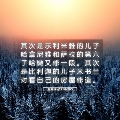 Picture 05 - 尼 希 米 记 3:30 CUVS - 其 次 是 示 利 米 雅 的 儿 子 哈 拿 - Bible Verse Picture
