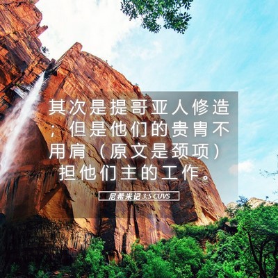 Picture 05 - 尼 希 米 记 3:5 CUVS - 其 次 是 提 哥 亚 人 修 造 ； 但 是 - Bible Verse Picture