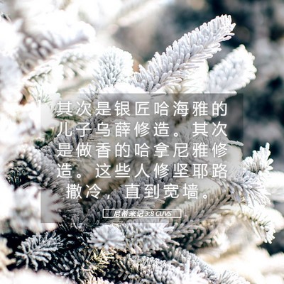 Picture 05 - 尼 希 米 记 3:8 CUVS - 其 次 是 银 匠 哈 海 雅 的 儿 子 乌 - Bible Verse Picture