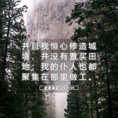 Picture 05 - 尼 希 米 记 5:16 CUVS - 并 且 我 恒 心 修 造 城 墙 ， 并 没 - Bible Verse Picture