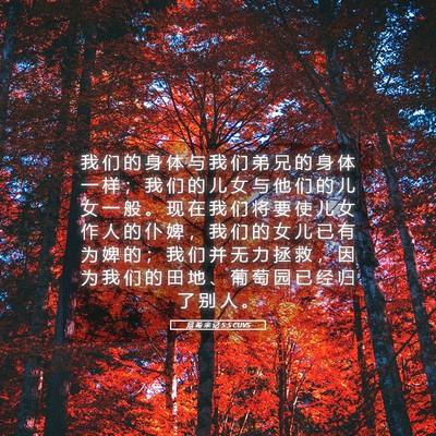 Picture 05 - 尼 希 米 记 5:5 CUVS - 我 们 的 身 体 与 我 们 弟 兄 的 身 - Bible Verse Picture