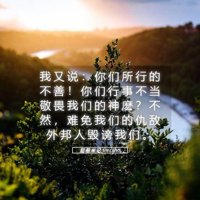 Picture 05 - 尼 希 米 记 5:9 CUVS - 我 又 说 ： 你 们 所 行 的 不 善 ！ - Bible Verse Picture