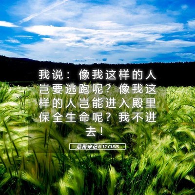Picture 05 - 尼 希 米 记 6:11 CUVS - 我 说 ： 像 我 这 样 的 人 岂 要 逃 - Bible Verse Picture