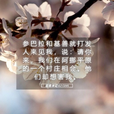 Picture 05 - 尼 希 米 记 6:2 CUVS - 参 巴 拉 和 基 善 就 打 发 人 来 见 - Bible Verse Picture