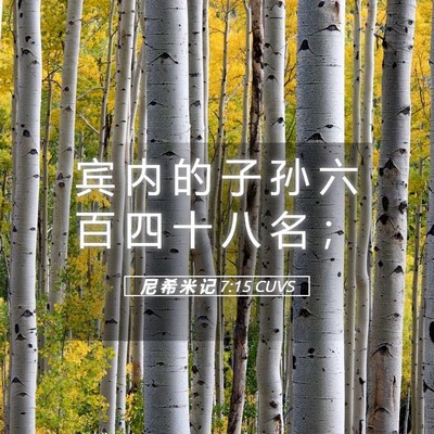 Picture 05 - 尼 希 米 记 7:15 CUVS - 宾 内 的 子 孙 六 百 四 十 八 名 - Bible Verse Picture