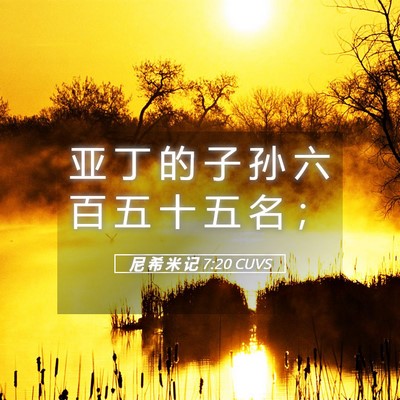 Picture 05 - 尼 希 米 记 7:20 CUVS - 亚 丁 的 子 孙 六 百 五 十 五 名 - Bible Verse Picture